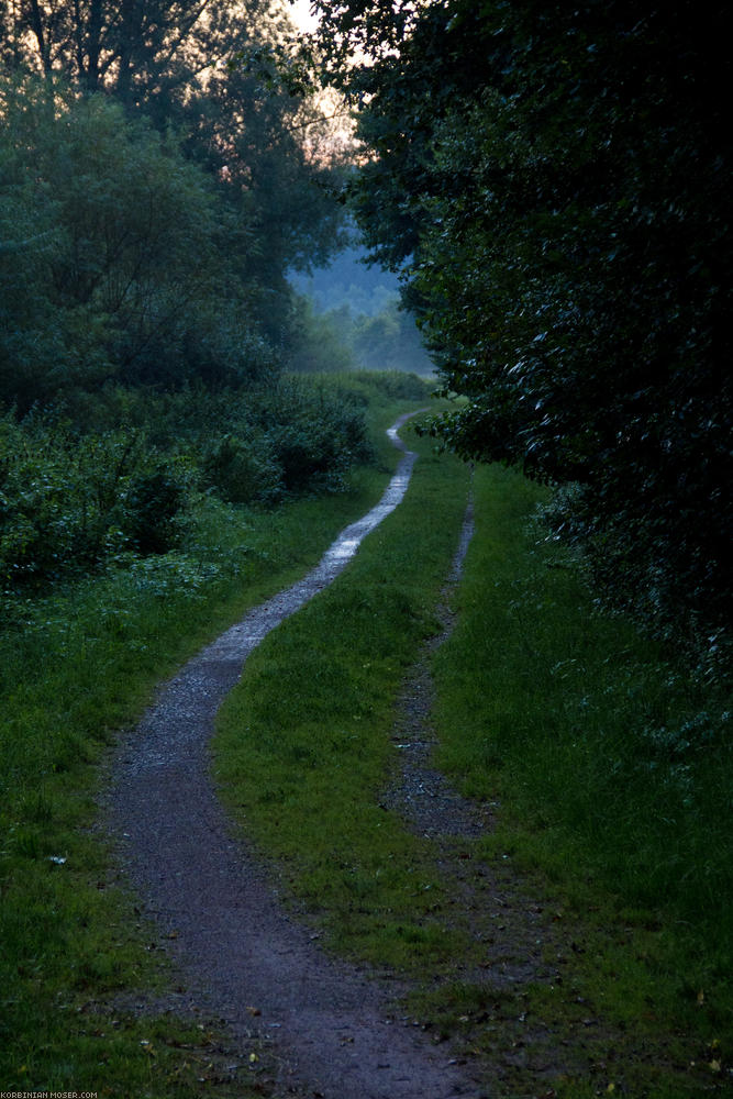 ﻿Clammy morning atmosphere in the Neckar valley.