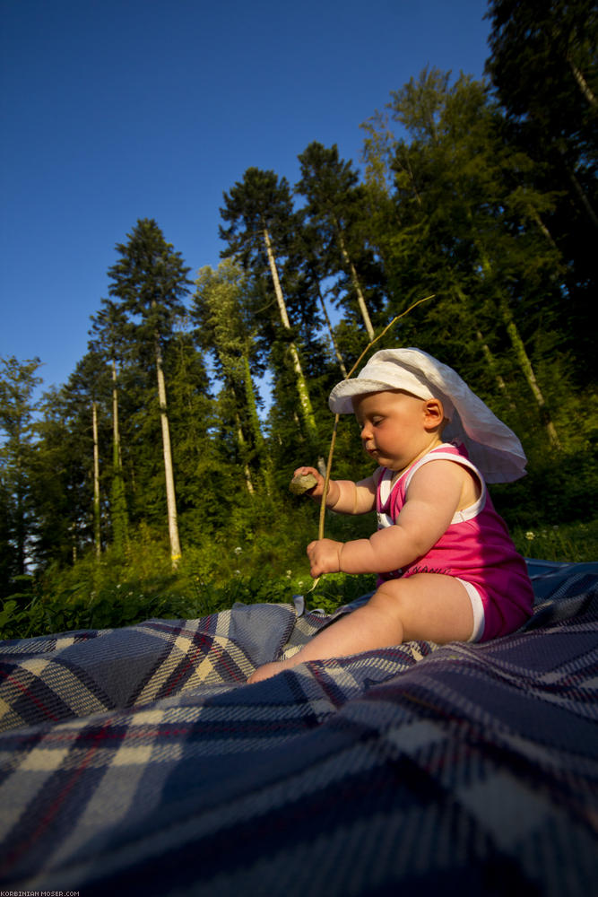 ﻿Sulz. Mona plays with stick and stone.