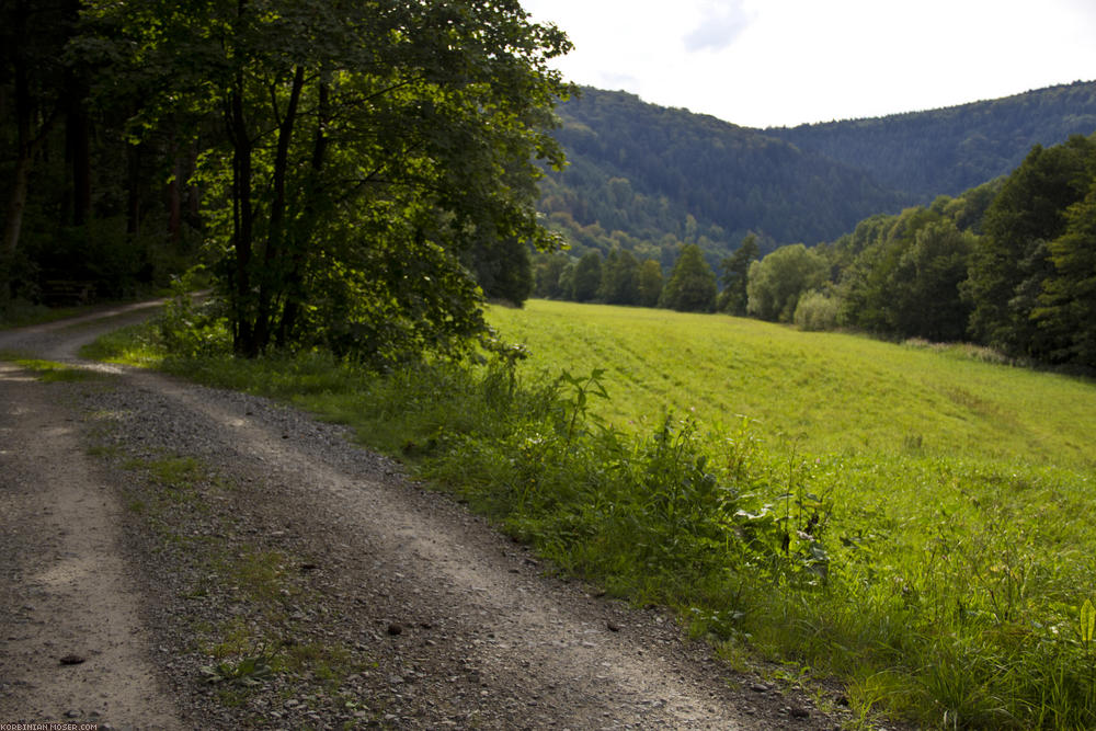 ﻿In the Odenwald the bikepath gets mountainos again.