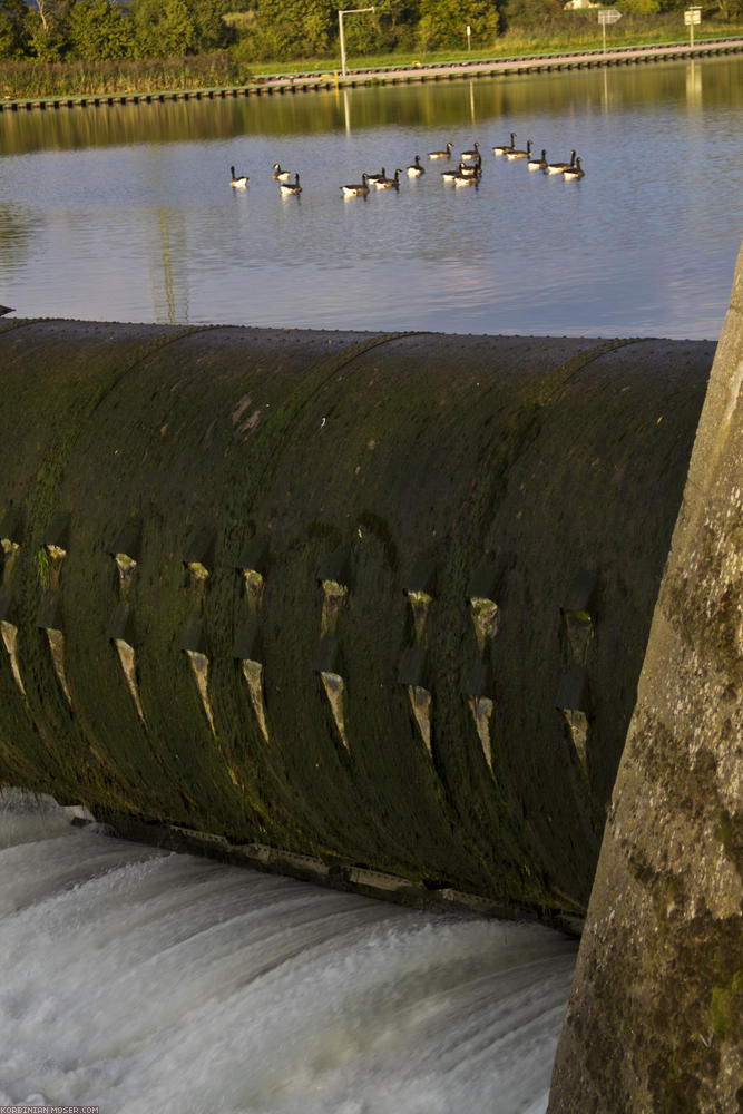 ﻿Neckarhausen. At the dyke.