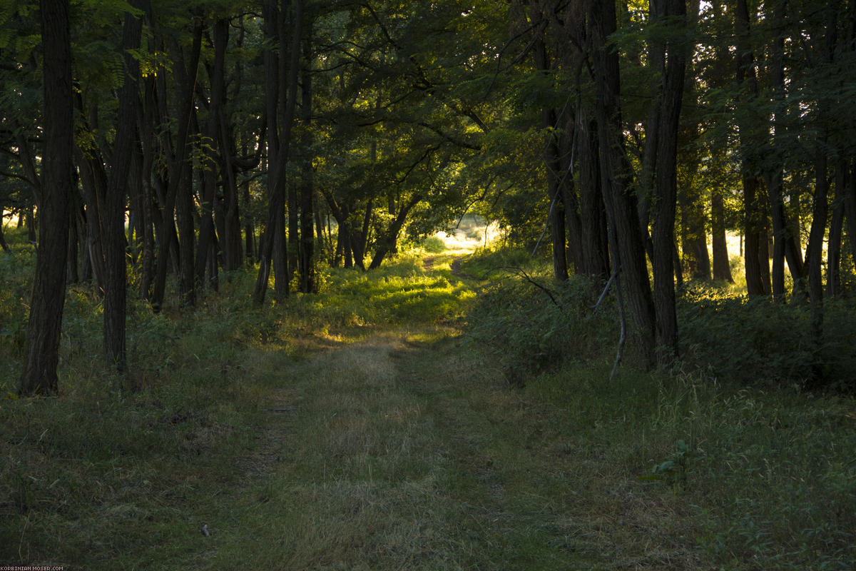 Hungary. Summer 2012.