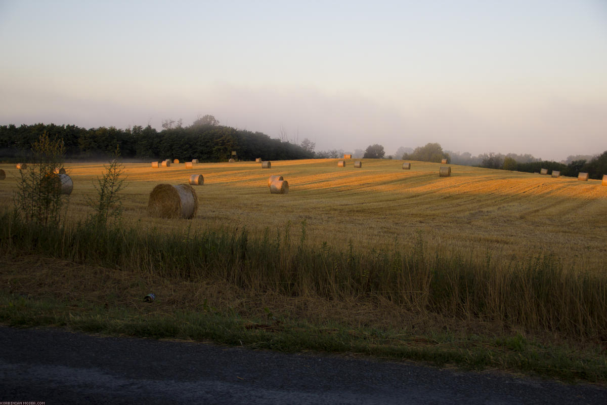 Hungary. Summer 2012.