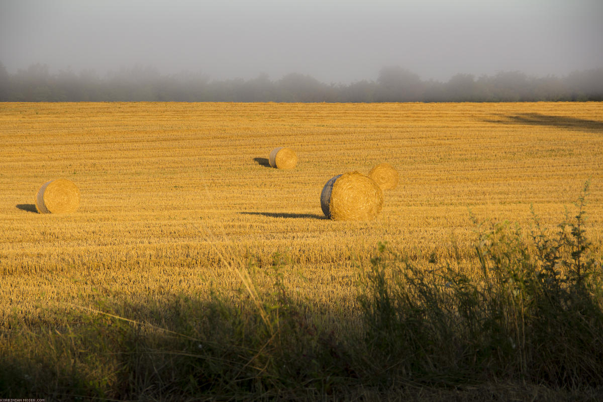 Hungary. Summer 2012.