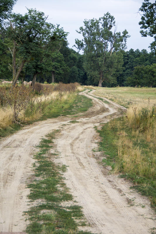 Hungary. Summer 2012.