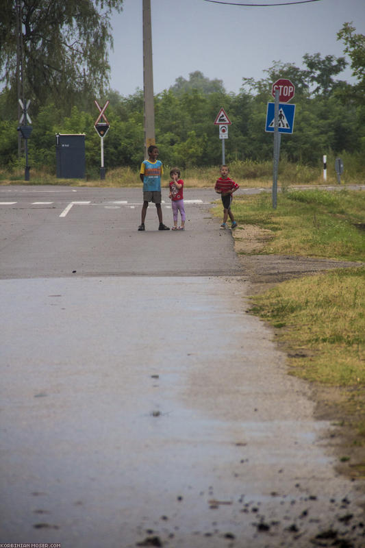 Hungary. Summer 2012.