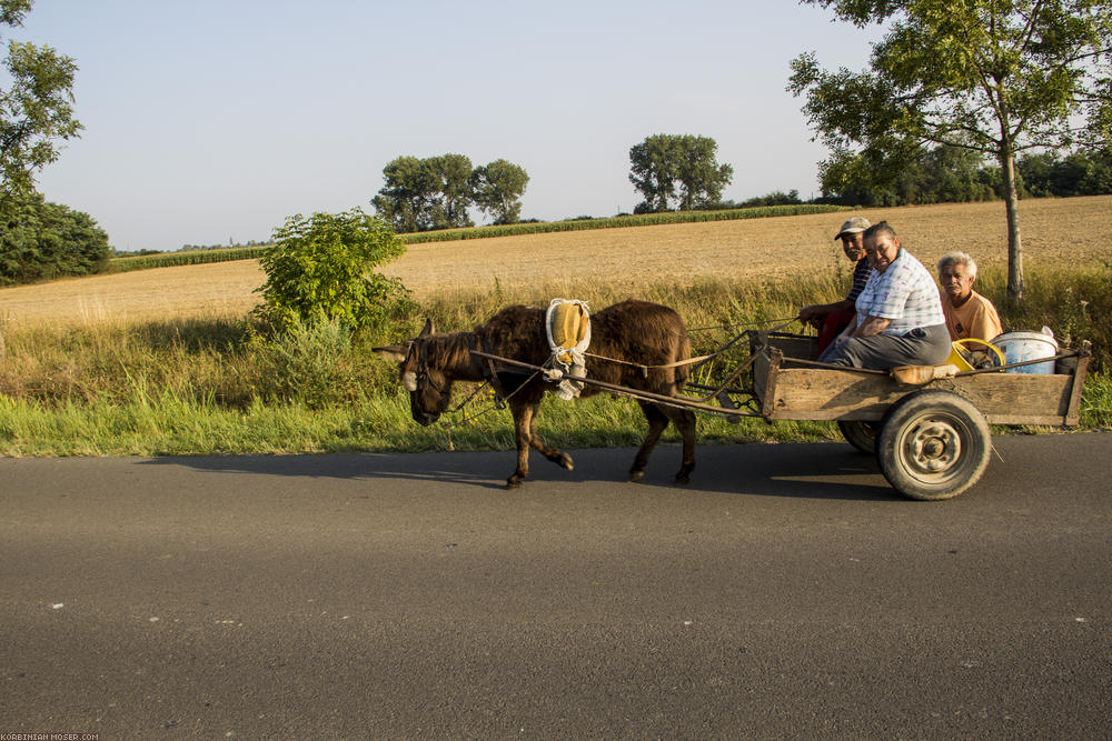 Hungary. Summer 2012.