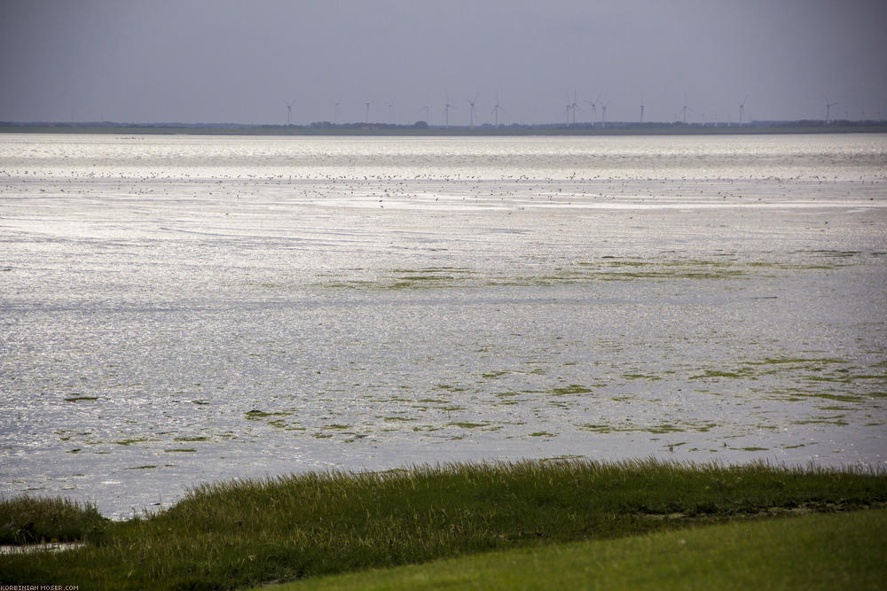 Norderney. Our first 