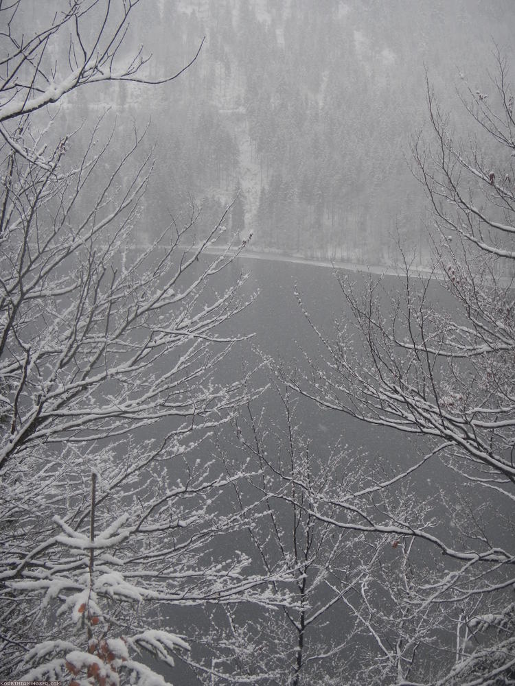 ﻿The Alpsee in snow flurry.