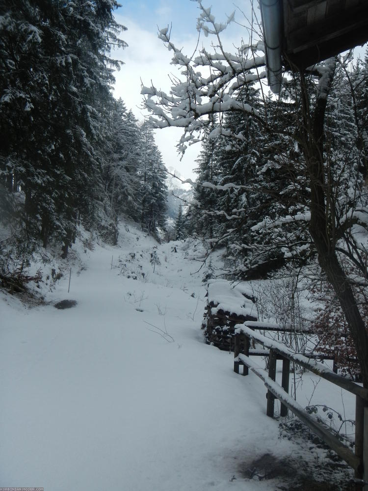 ﻿Austria. Deep snow. Bad luck! From now on exhausting bike pushing. But still better than riding back down the whole mountain and ride a large indirection around.