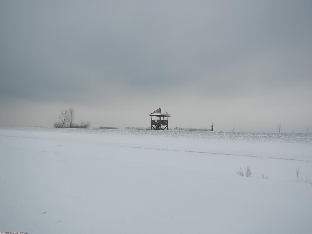 ﻿Prelog. View over the Drava dyke.