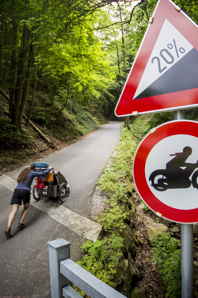 World Heritage Trail. Wachau-hike in July 2013