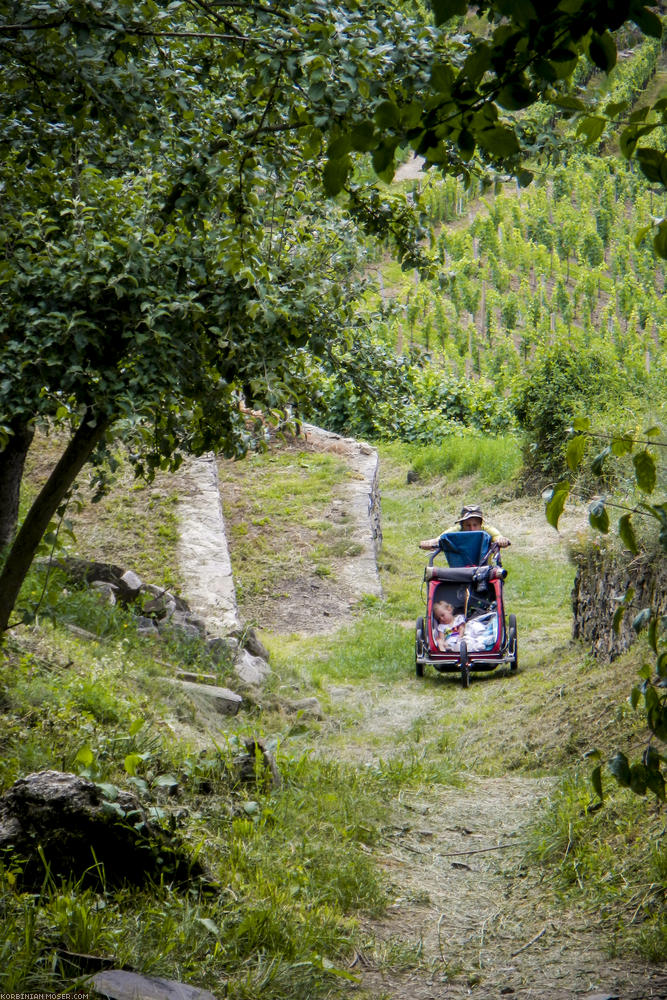 World Heritage Trail. Wachau-hike in July 2013