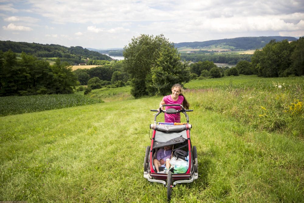 World Heritage Trail. Wachau-hike in July 2013