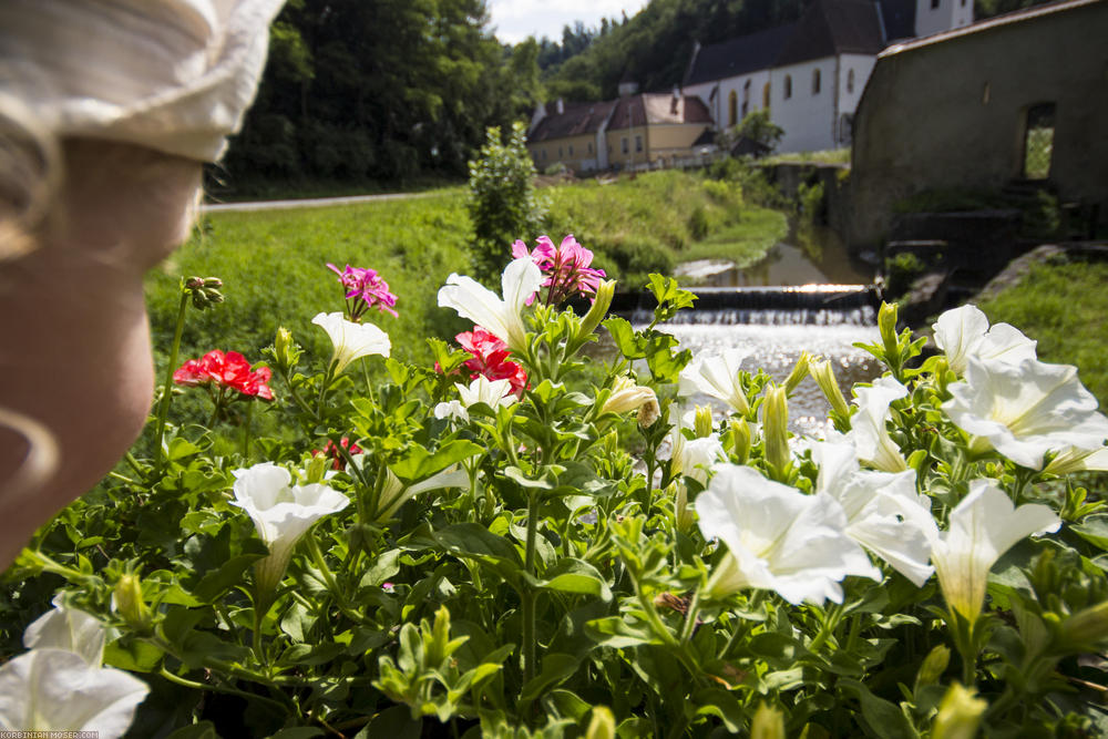 World Heritage Trail. Wachau-hike in July 2013