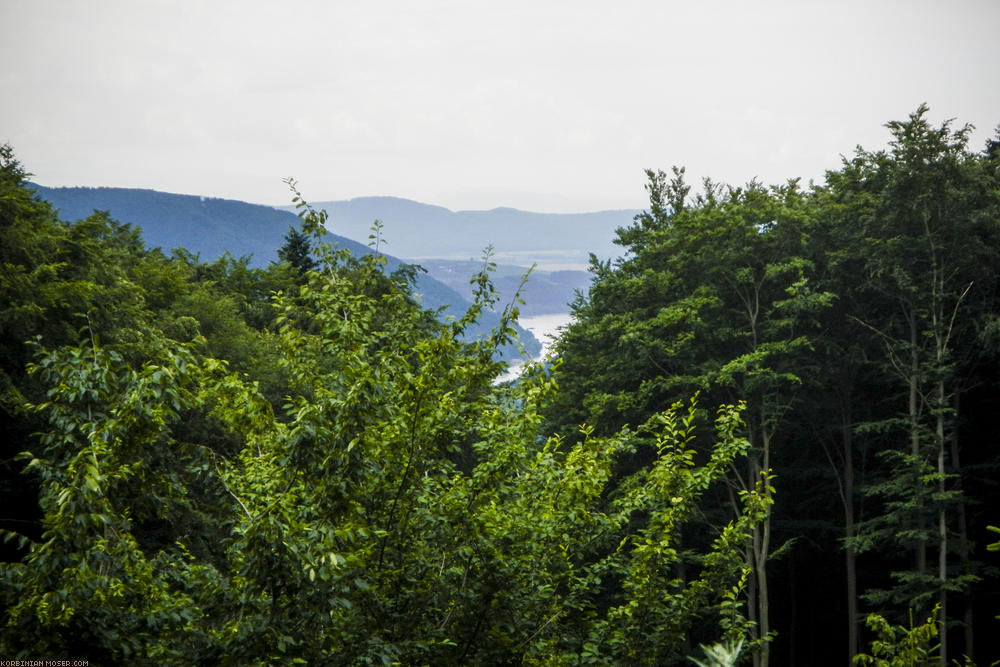 World Heritage Trail. Wachau-hike in July 2013