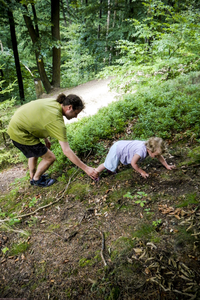 World Heritage Trail. Wachau-hike in July 2013