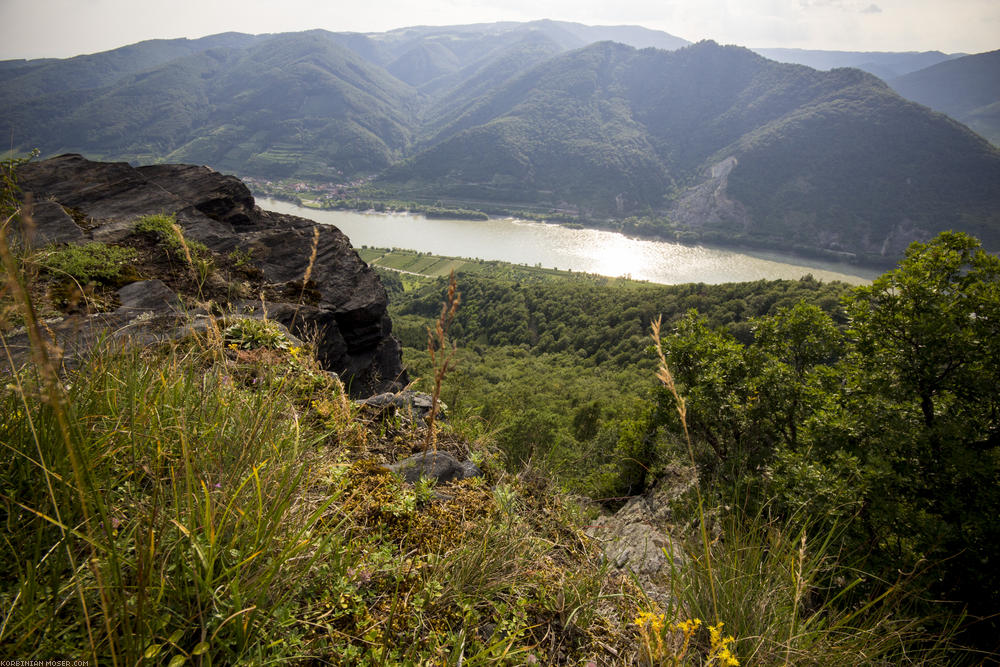 World Heritage Trail. Wachau-hike in July 2013