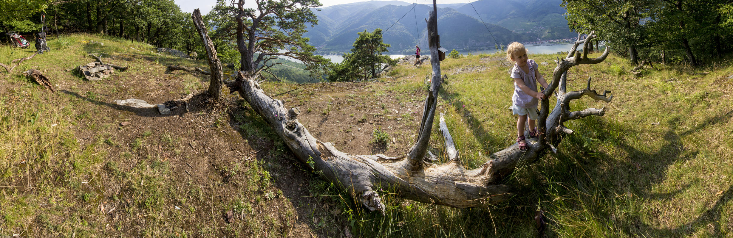 World Heritage Trail. Wachau-hike in July 2013