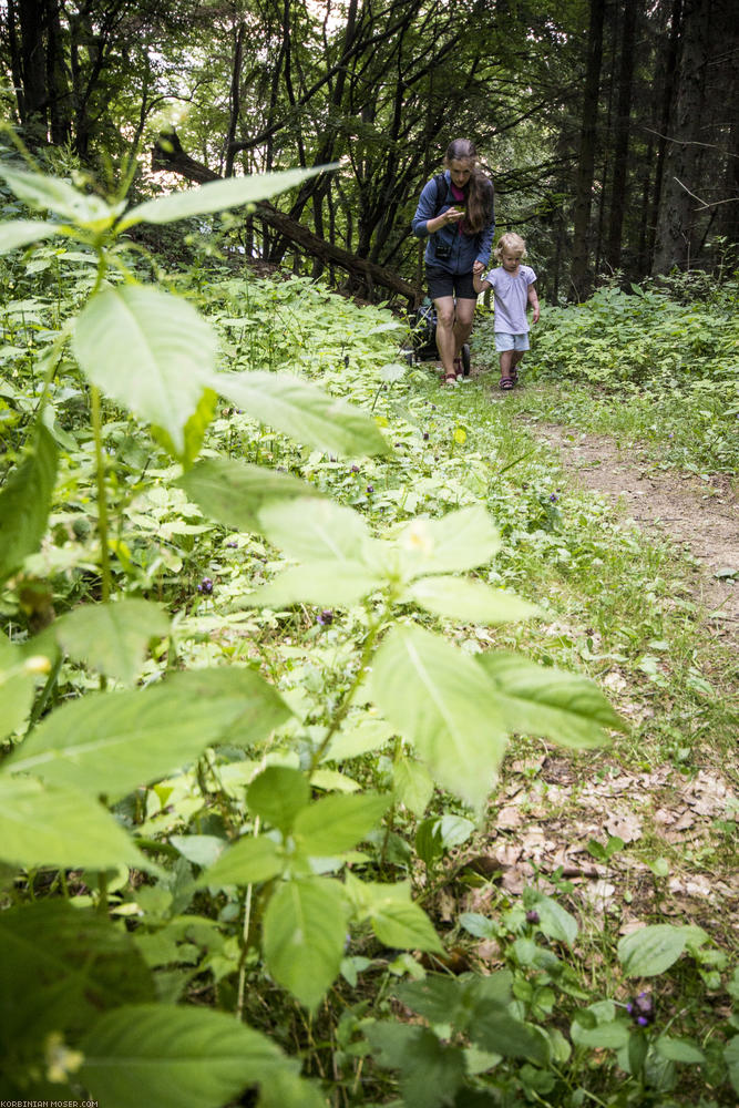 World Heritage Trail. Wachau-hike in July 2013