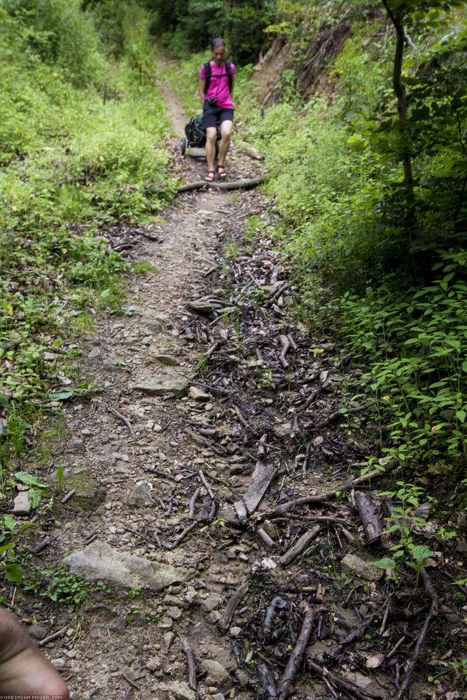 World Heritage Trail. Wachau-hike in July 2013