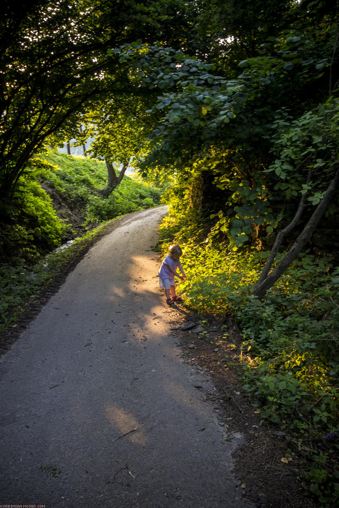 World Heritage Trail. Wachau-hike in July 2013