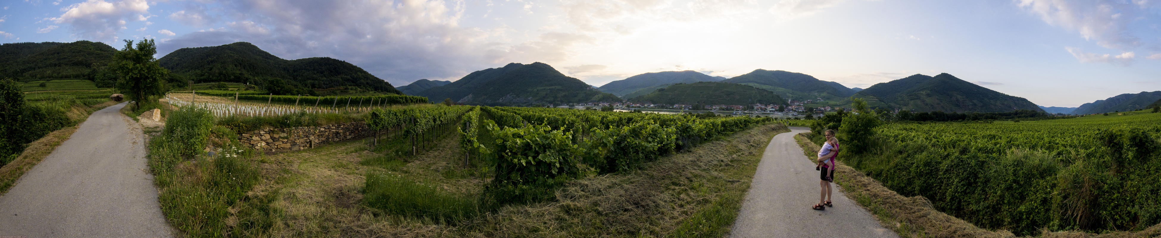 World Heritage Trail. Wachau-hike in July 2013