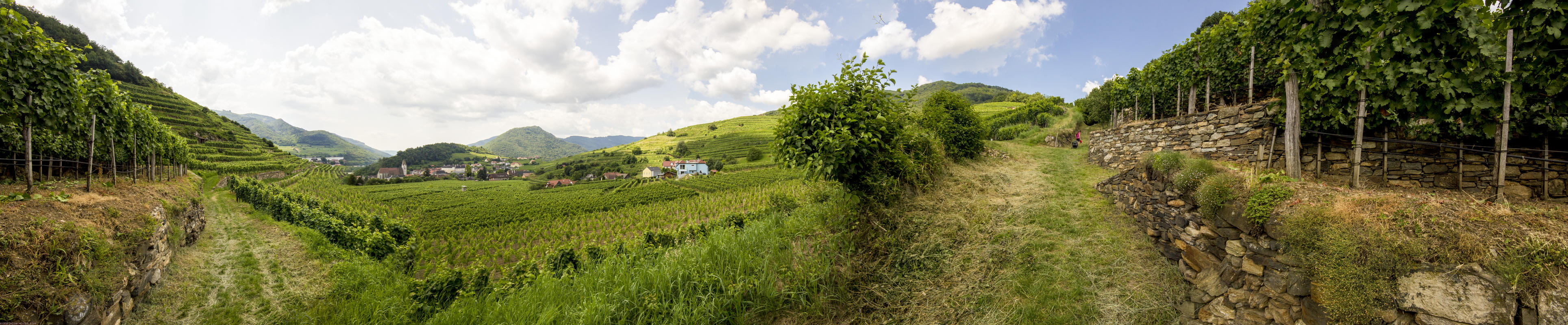 World Heritage Trail. Wachau-hike in July 2013