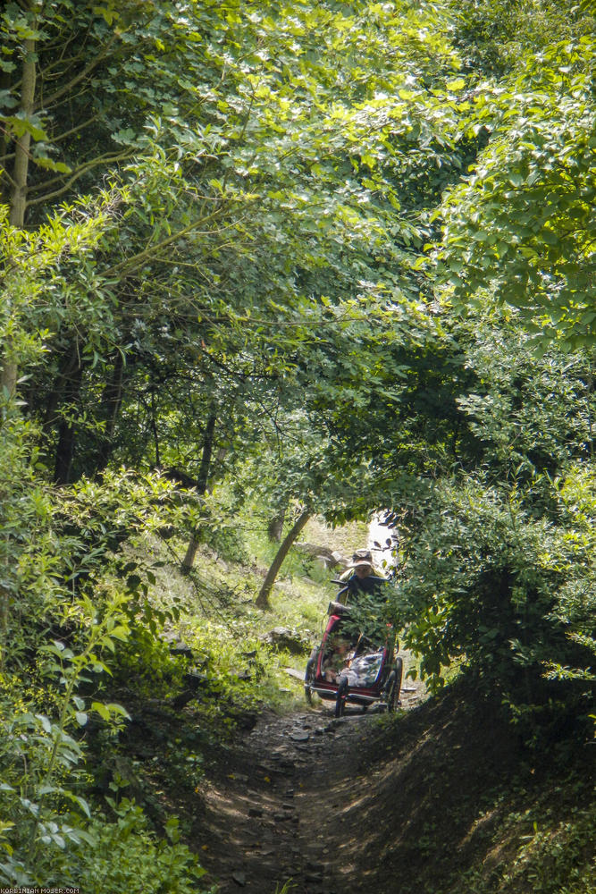 World Heritage Trail. Wachau-hike in July 2013