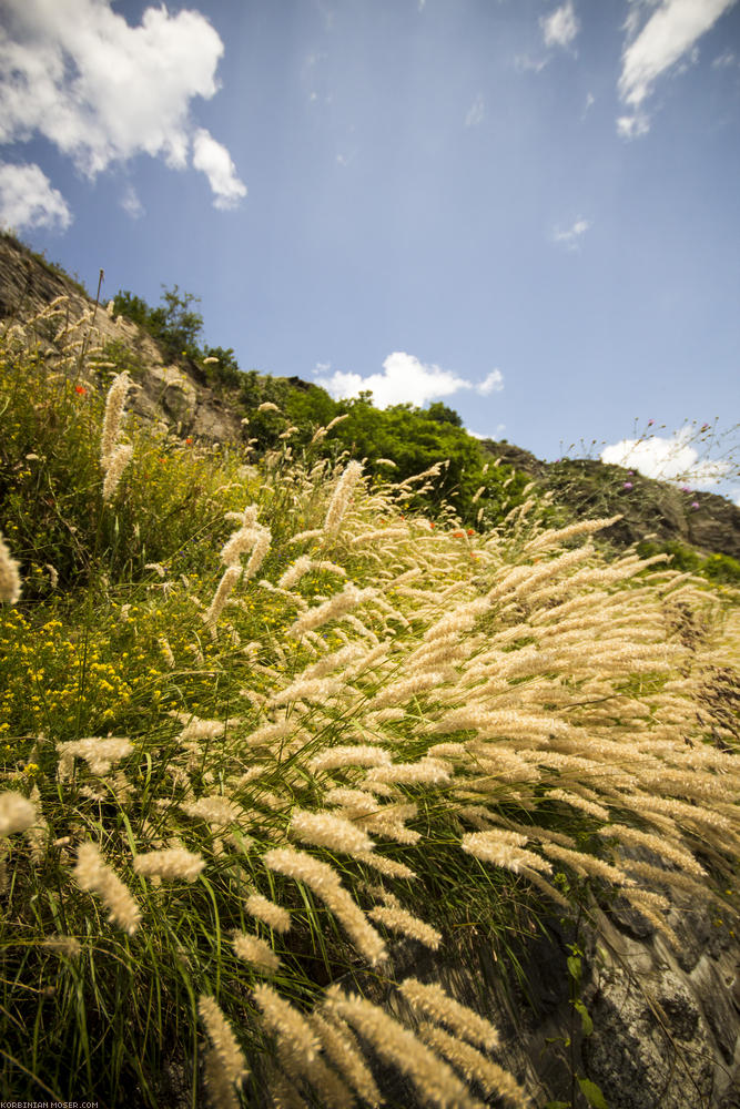 World Heritage Trail. Wachau-hike in July 2013