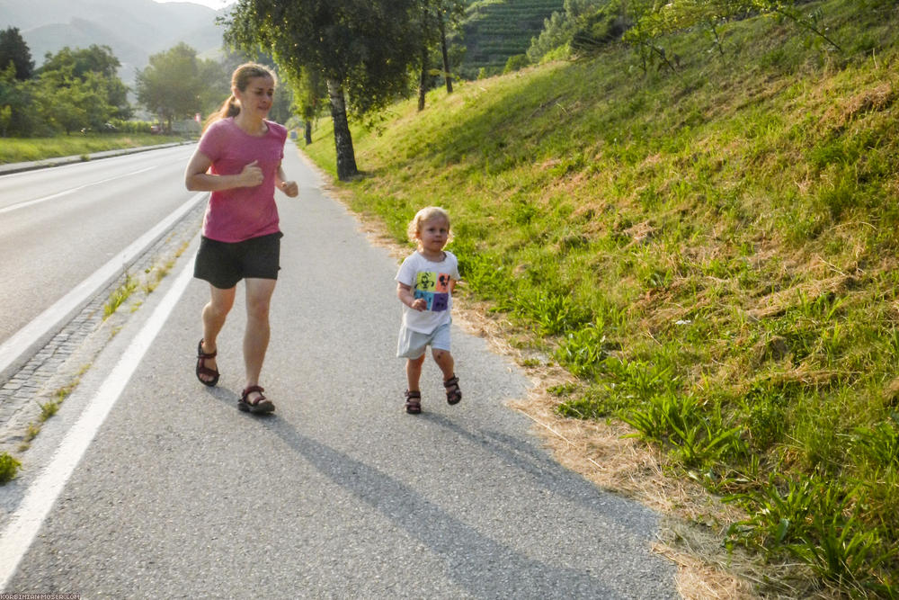 World Heritage Trail. Wachau-hike in July 2013