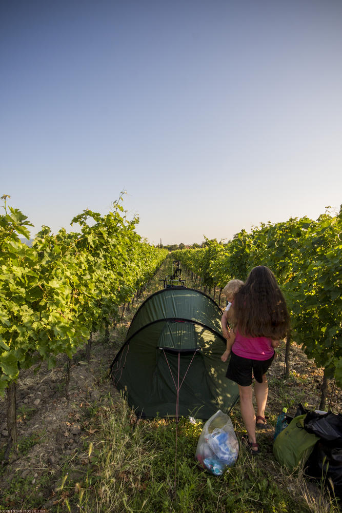 World Heritage Trail. Wachau-hike in July 2013