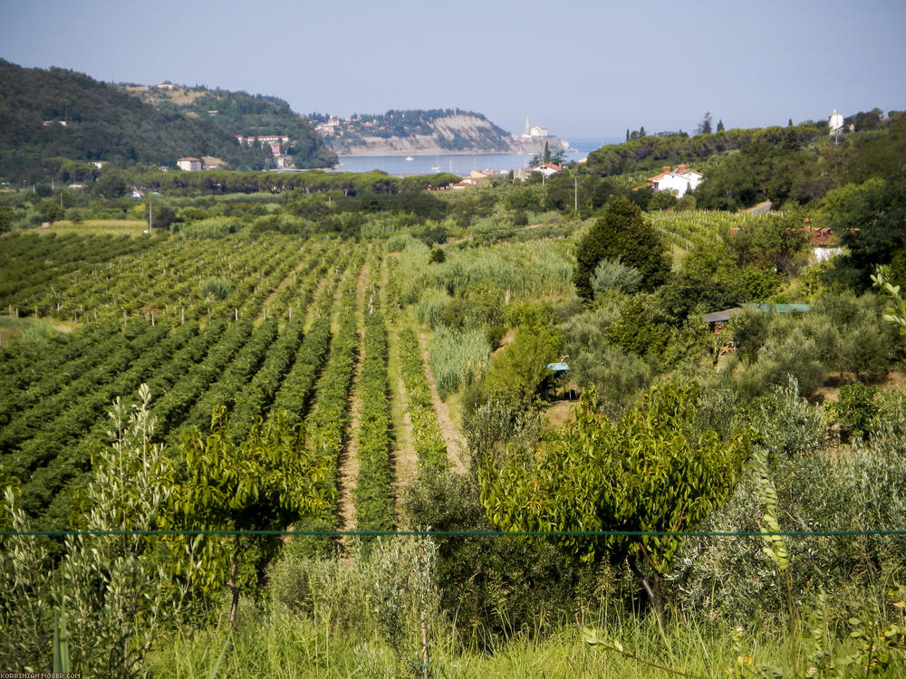 Lijepa Istra. Mountains and the Adriatic Sea in Croatia, July 2013