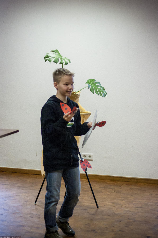 Student concert. Municipality of Boniface, Mainz, 15th March 2014