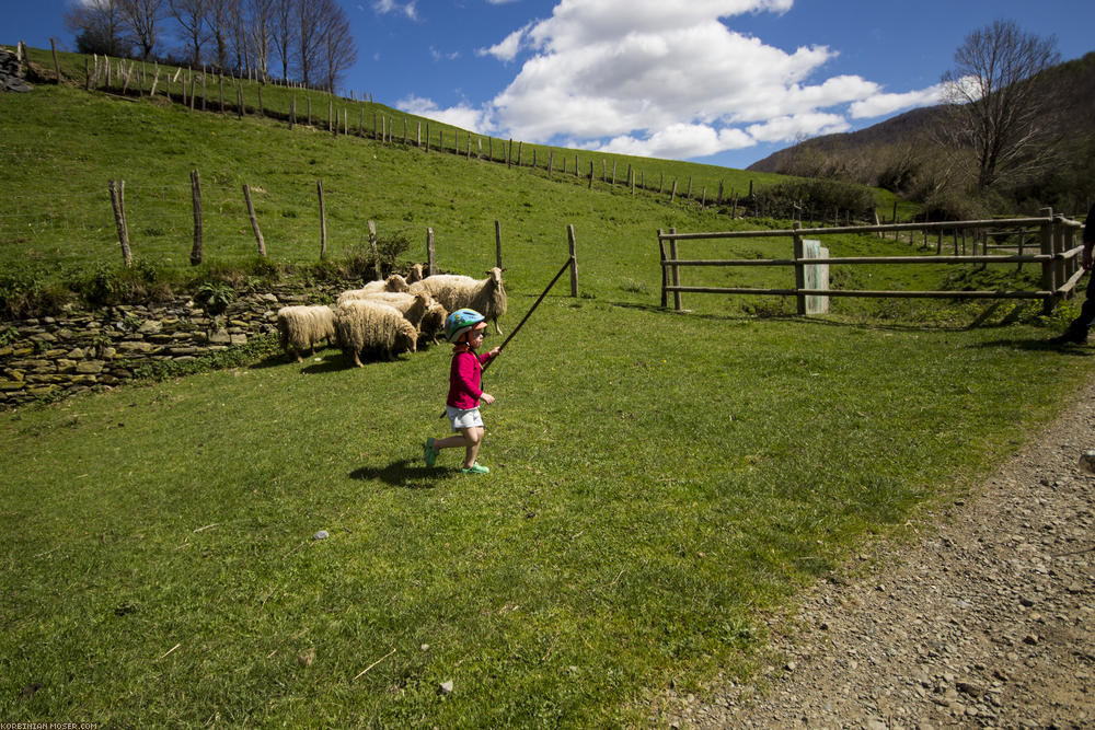 Camino de Santjátszó. Heavy-load pilgrimage in April-May 2014.