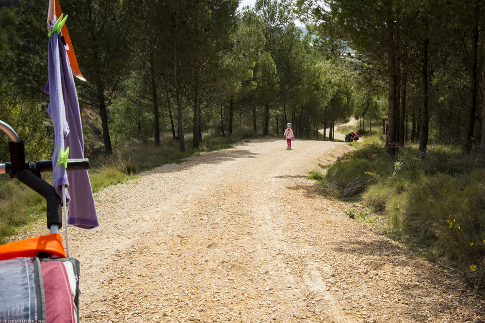 Camino de Santjátszó. Heavy-load pilgrimage in April-May 2014.