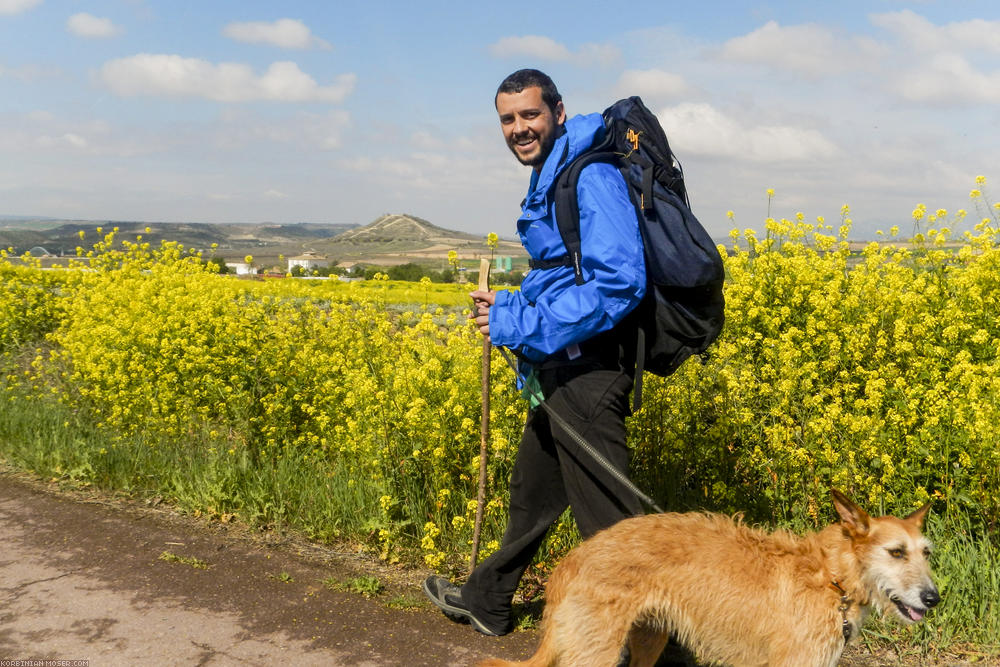 Camino de Santjátszó. Heavy-load pilgrimage in April-May 2014.