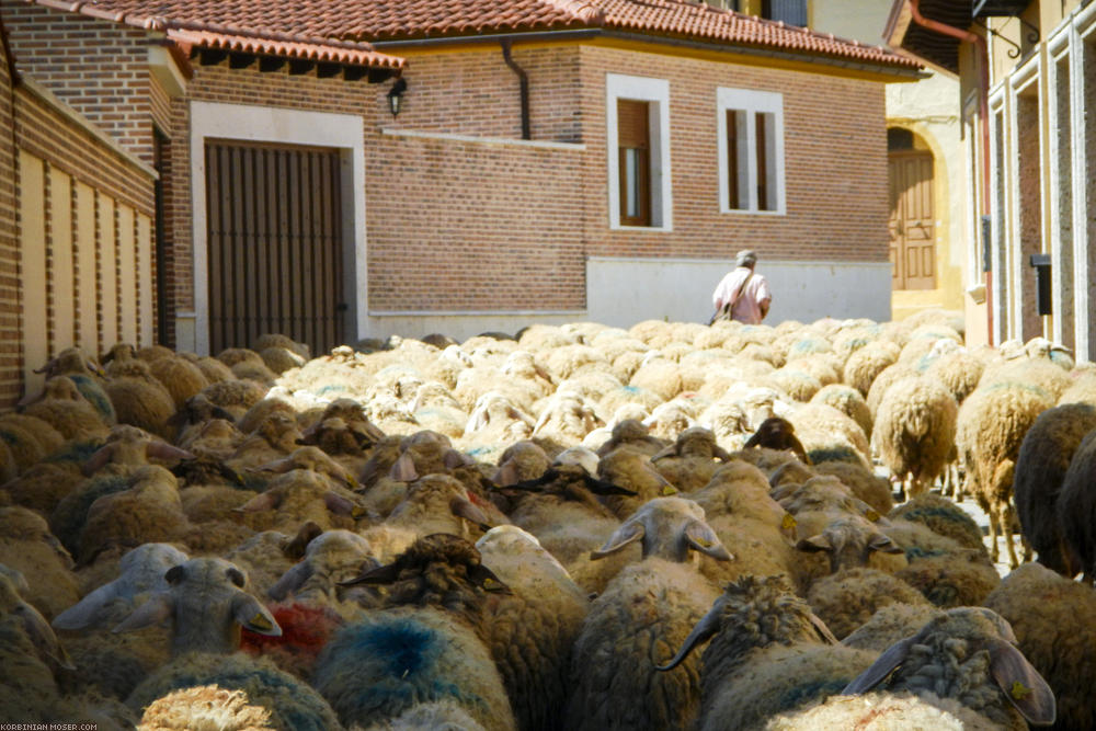 Camino de Santjátszó. Heavy-load pilgrimage in April-May 2014.