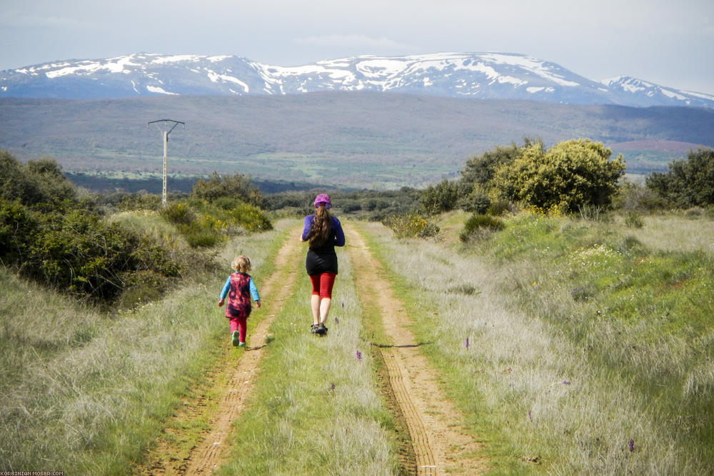 Camino de Santjátszó. Heavy-load pilgrimage in April-May 2014.