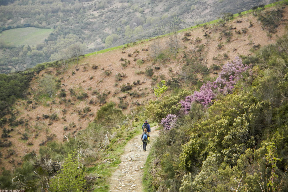 Camino de Santjátszó. Heavy-load pilgrimage in April-May 2014.