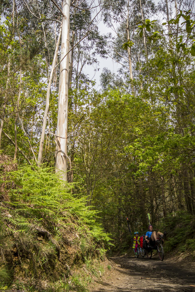 Camino de Santjátszó. Heavy-load pilgrimage in April-May 2014.