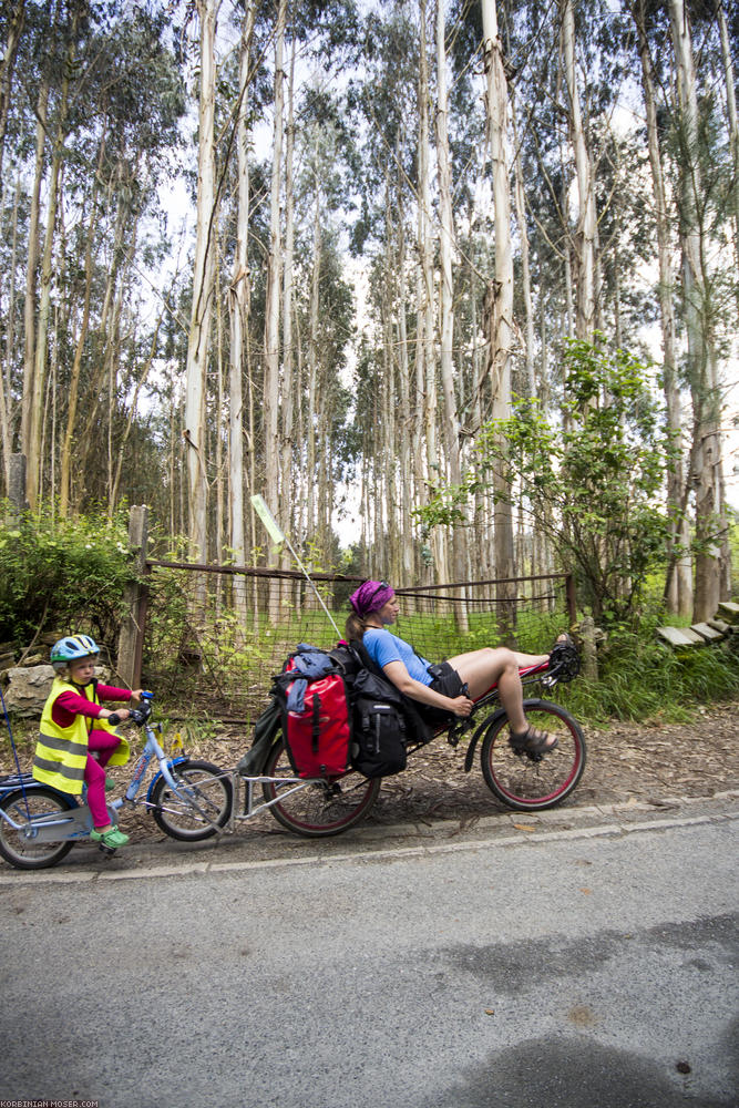 Camino de Santjátszó. Heavy-load pilgrimage in April-May 2014.