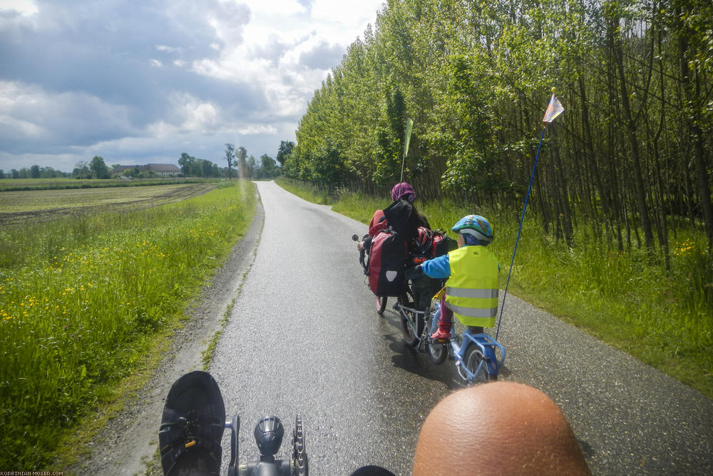 Rain cycling along Isar and Danube, May 2014.