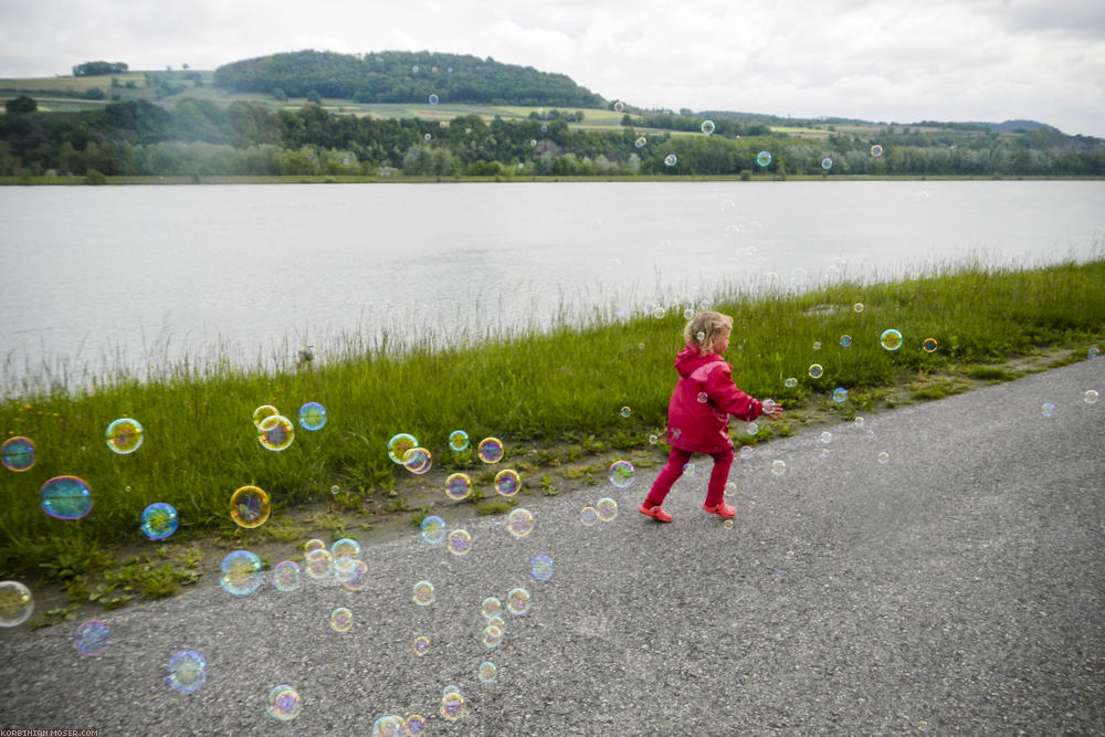 Rain cycling along Isar and Danube, May 2014.