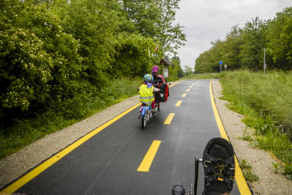 Rain cycling along Isar and Danube, May 2014.