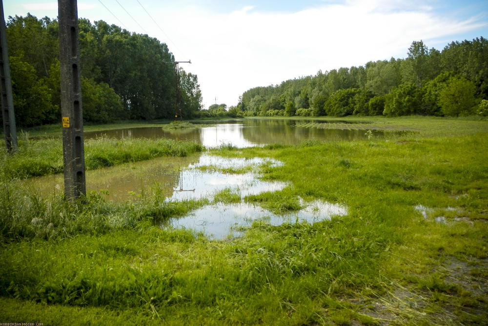 Rain cycling along Isar and Danube, May 2014.