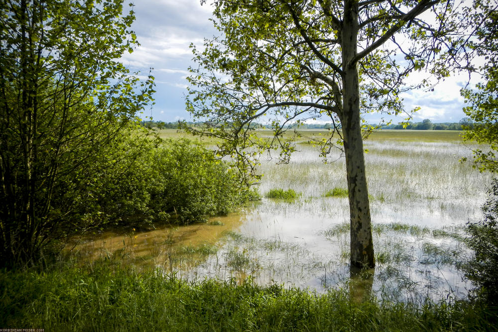 Rain cycling along Isar and Danube, May 2014.