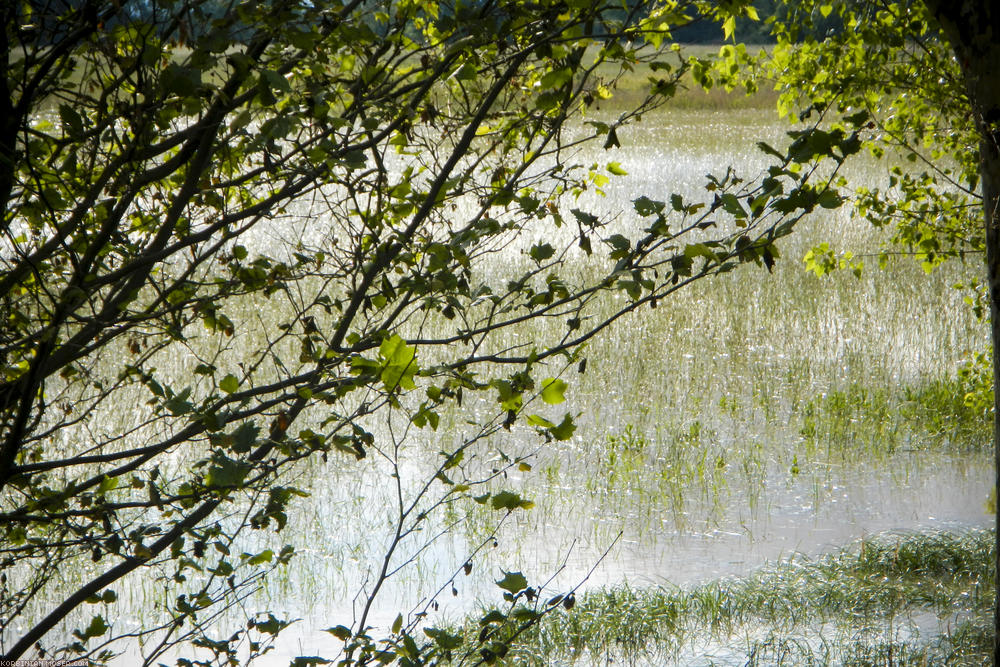 Rain cycling along Isar and Danube, May 2014.