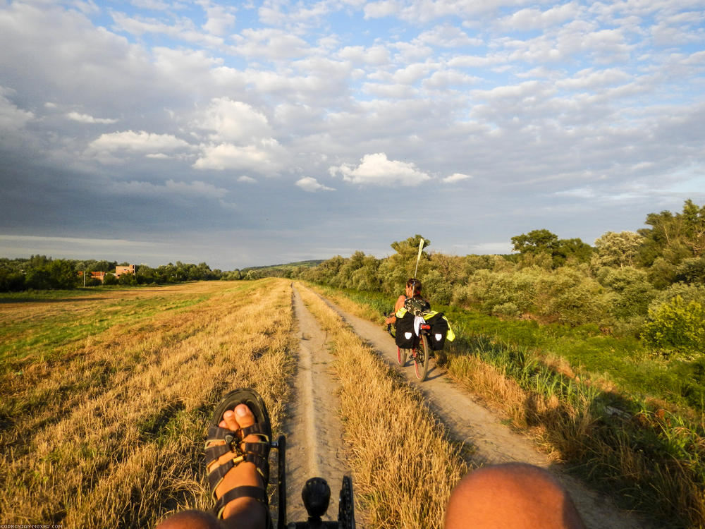 Pur nature. After crossing the Danube bridge, we're all of a sudden out of the city.