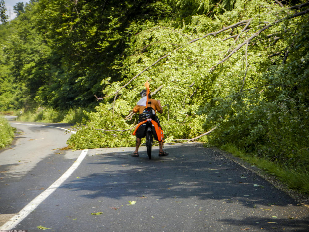 Storm damage. It made sense that we paused during the thunderstorm.