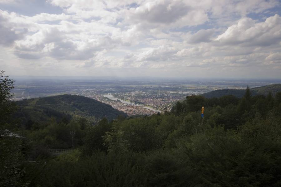 Moser Családi Találkozó, Heidelberg, 17.-19. Augusztus 2007